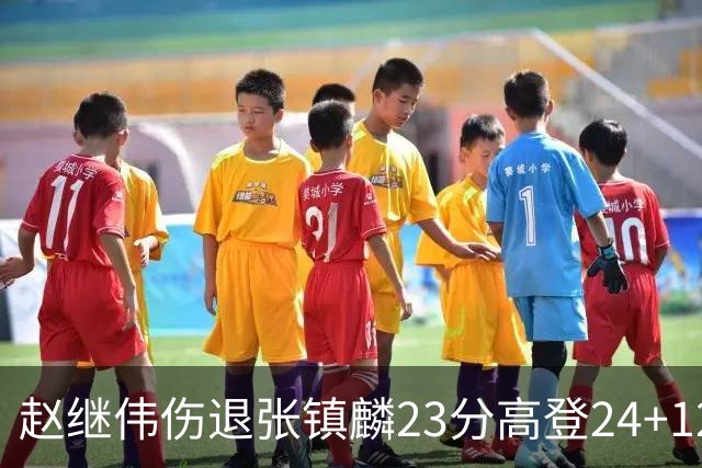赵继伟伤退张镇麟23分高登24+12 辽宁大胜四川